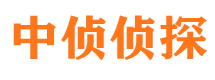 平安婚外情调查